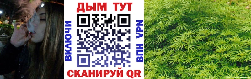 Бошки Шишки Amnesia  Барыш 